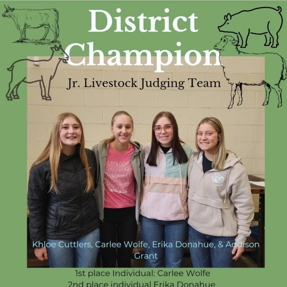 Jr. Livestock Judging Team